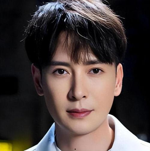 娱乐圈男宠,揭秘明星背后的神秘宠爱故事