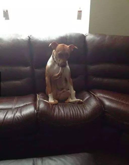 搞笑怪癖,揭秘那些让人捧腹大笑的搞笑怪癖